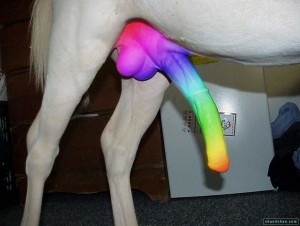 Rainbow horse cock