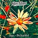 AGU - Beautiful (Digital Pilgrimz remix)
